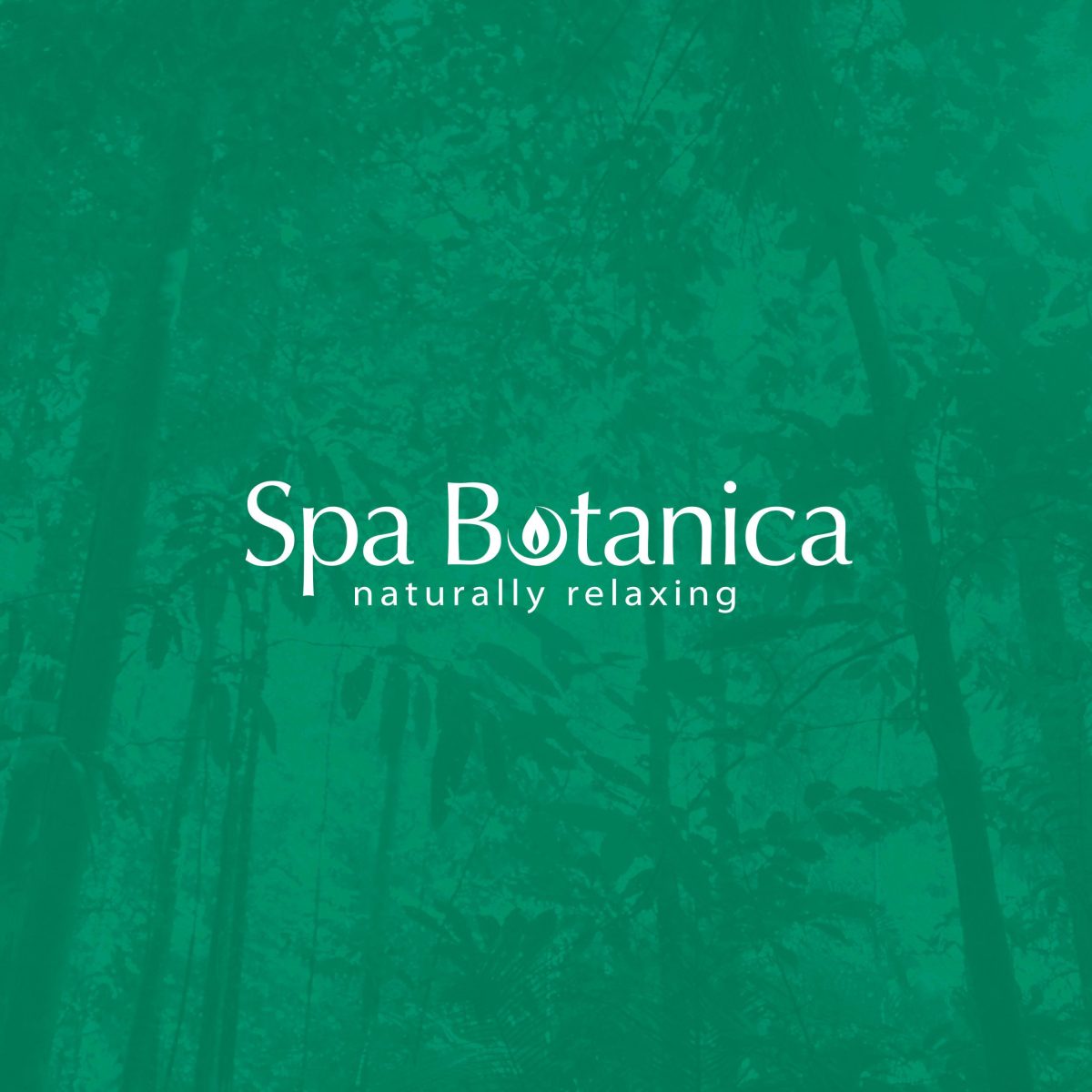 Logo__SpaBotanica__brand
